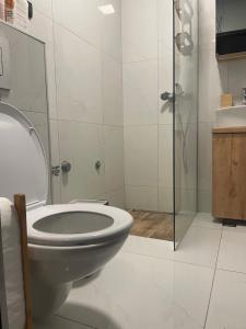 a bathroom with a toilet and a glass shower at Diamond Magic 2 Divcibare in Divčibare +24 photos