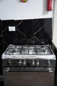 Kuchyň nebo kuchyňský kout v ubytování Petra Gate Apartment