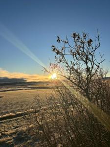 Galeriebild der Unterkunft Syðri-Þverá, Nature view Apartment in Hvammstangi