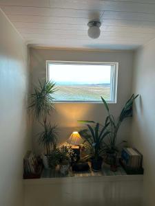 Galeriebild der Unterkunft Syðri-Þverá, Nature view Apartment in Hvammstangi