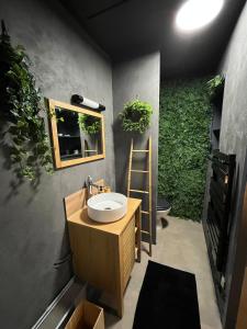 Φωτογραφία από το άλμπουμ του Jungle room Poitiers στο Πουατιέ