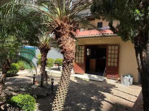 a palm tree in front of a house at Casa ao mar -Pousada Itapema in Itapema