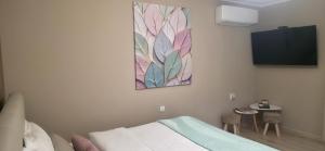 TV a/nebo společenská místnost v ubytování Apartmani Novi Grad