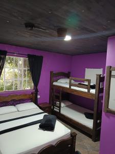 a room with two beds and a purple wall at Hostal Hilltop Salento in Salento +44 photos