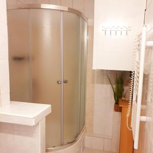 Byt ve Zdechovicích的浴室里有玻璃门的淋浴间