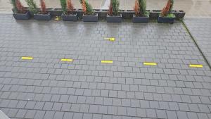 a row of potted plants with yellow stickers on them at Bright apartment, private parking in Dudelange