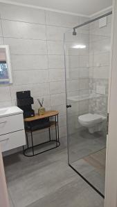 Phòng tắm tại Bright apartment, private parking