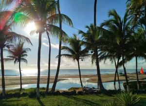 a view of a beach with palm trees and a pool at Cabanas Caraúbas II - ótimo visual do mar in Maxaranguape