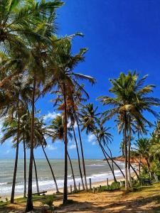 a group of palm trees on a beach at Cabanas Caraúbas II - ótimo visual do mar in Maxaranguape +28 photos