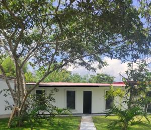 Zahrada ubytování Wee House