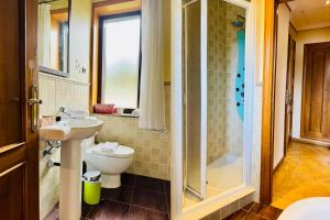 a bathroom with a toilet and a sink and a shower at Hotel Punta me Torreblanca Palace in Guadarrama +53 photos
