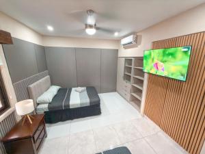 Televiisor ja/või meelelahutuskeskus majutusasutuses Casa CAXTUS