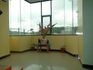 a room with a table with a plant on it at Bambú Hostal in Tena