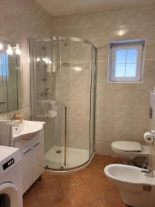 ein Badezimmer mit Dusche, Toilette und Waschbecken in der Unterkunft Kuća za 10 osoba s jacuzzijem i biljarom Mrkopalj in Mrkopalj + 9 Fotos