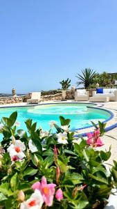 Πισίνα στο ή κοντά στο Villa Ventu di Mari panorama da sogno sul Golfo e Isola di Caprera Piscina riscaldata & Jacuzzi Area Fitness