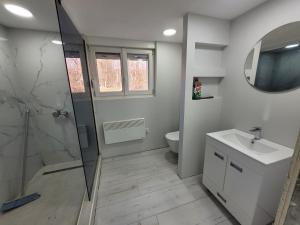 ein Badezimmer mit Dusche, Waschbecken und Toilette in der Unterkunft Aki Land  + 7 Fotos