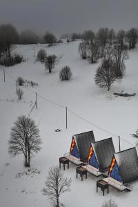 HomelandNest durante el invierno 2 fotos más