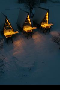 HomelandNest durante el invierno