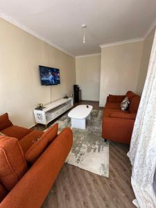 Homa BayAmors place的有两张沙发和一台电视的客厅