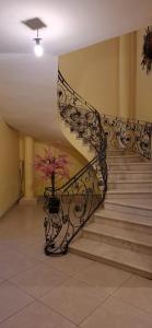 Galería fotográfica de Mi nuevo San Juan en San Juan de los Lagos