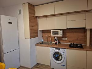 Kuchyň nebo kuchyňský kout v ubytování Targu Jiu Central Apartment - Free Parking & Self Check-In