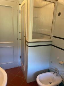 Un baño con lavabo, ducha e inodoro. en A casa di Mariarosaria, en Pozzovetere