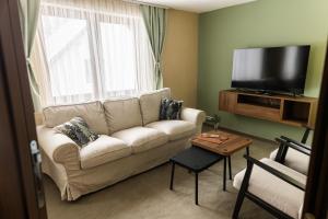 TV a/nebo společenská místnost v ubytování Apartmani ZOV GOLIJE