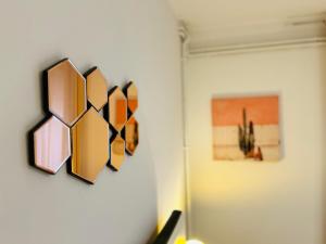 a group of mirrors hanging on a wall at Black and Ginger Residence in Zrenjanin +54 photos