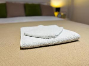 a white towel sitting on top of a floor at Black and Ginger Residence in Zrenjanin