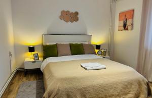 a bedroom with a large bed with two night stands at Black and Ginger Residence in Zrenjanin