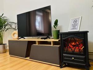 a television on a tv stand with a fireplace at Black and Ginger Residence in Zrenjanin