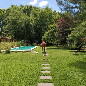 un cavallo in piedi sull'erba accanto a una piscina di La morita hospedaje a Brandsen
