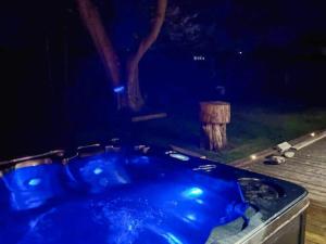 a blue tub in a dark room with a tree at 10 person holiday home in Juelsminde-By Traum in Juelsminde +34 photos