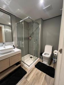 马霍礁Cozy Winter Getaway w Pool & Gym, Beach Nearby Beach的带淋浴、水槽和马桶的浴室