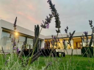 Zahrada ubytování Pizpireta Villa Rural + 63 fotografií