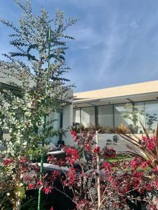 Zahrada ubytování Pizpireta Villa Rural