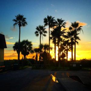 Вид на восход или закат из апартаментов/квартиры или места поблизости