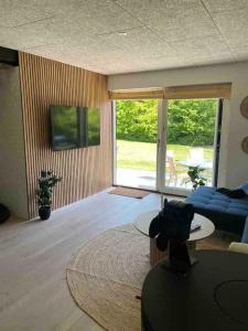 Телевизор и/или развлекательный центр в Sommerhus Med Spa, Sauna Og Vildmarksbad