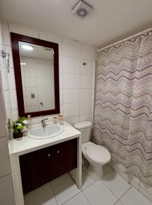 a bathroom with a toilet and a sink and a mirror at Moderno Apartamento a pasos del Metro y Museo Bellas Artes, Cerro Santa Lucia, Barrio Lastarria in Santiago