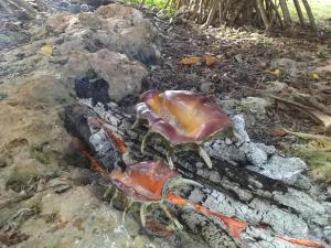 Ảnh trong thư viện ảnh của Gîte serewud ở Akaouane