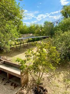 a picnic table and a bench in a garden at La Ribera Aparts in Santa Rosa de Calamuchita +17 photos