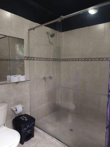 サプスロにあるHostal Hilltop Sapzurroのガラス張りのシャワーとトイレ付きのバスルーム