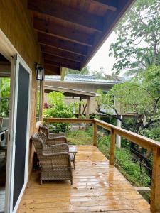 Κήπος έξω από το Tropical Jungle House