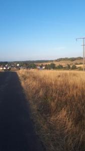 ein Feld mit hohen braunen Grasflächen neben einer Straße in der Unterkunft Ferienwohnung Matheaperle in Nidda