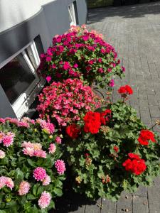 Κήπος έξω από το Gästehaus