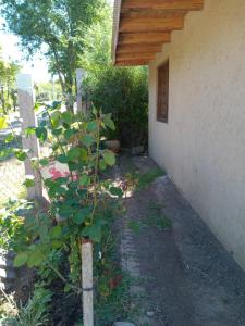 En have udenfor Alquileres del valle