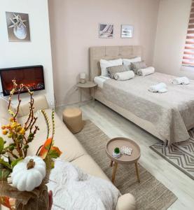 Un dormitorio con una cama grande y una chimenea. en Apartman Safir 1 & Apartman Safir 2 & Apartman Safir 3, en Kruševac