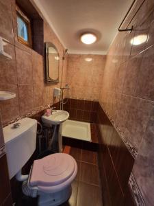 Ένα μπάνιο στο Pensiunea Wolfsberg