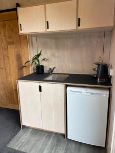 Kuchyň nebo kuchyňský kout v ubytování Alkea heights