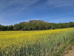 Příroda nedaleko prázdninového domu + 2 fotografie